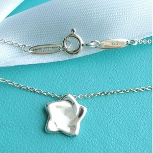Tiffany & Co Elsa Perertti Star Pendant Ne…